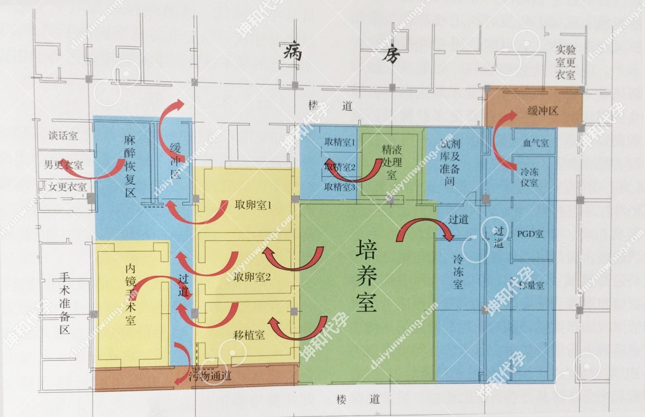 澳门坤和ivf实验室手术室平面布局及风向如图所示